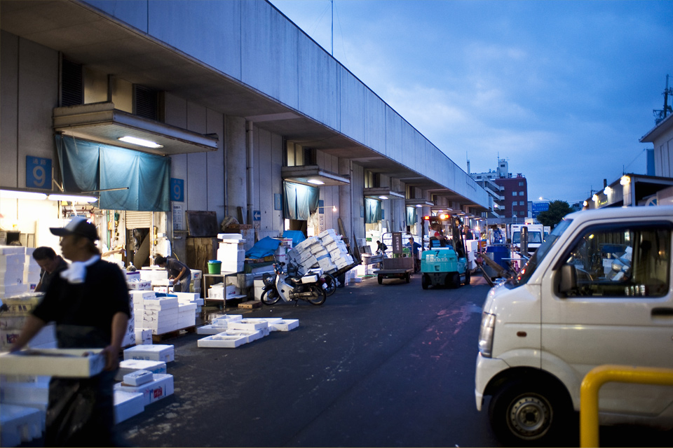 写真：すぐ近くの京都市中央卸売市場